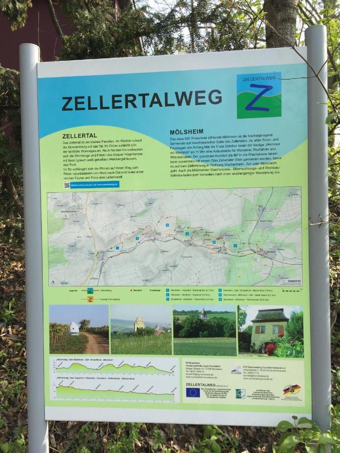 شقة Alte Schule Wachenheim Im Zellertal Wachenheim an der Weinstraße المظهر الخارجي الصورة